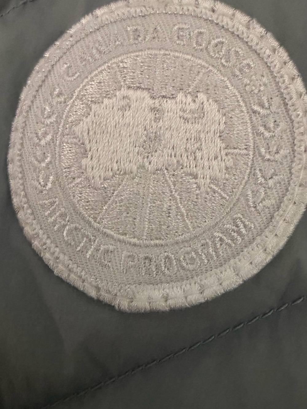 Canada Goose Clair Hooded Puffer Vest - Picture 4 of 10